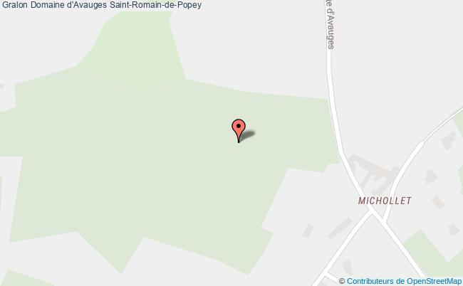 Domaine D'avauges  Saint-romain-de-popey