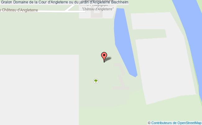 Domaine De La Cour D'angleterre Ou Du Jardin D'angleterre  Bischheim