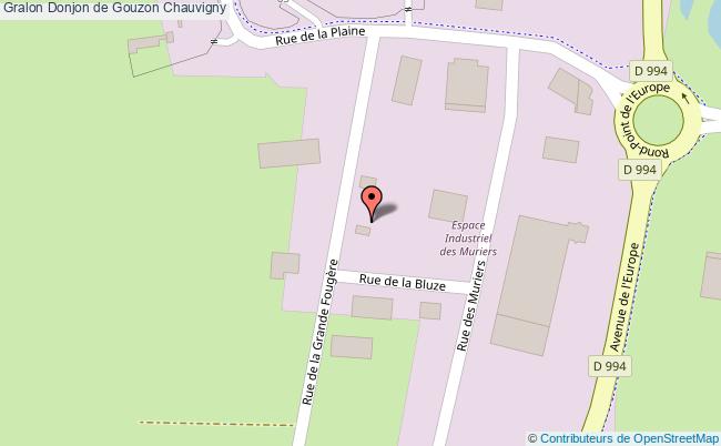 Donjon De Gouzon  Chauvigny