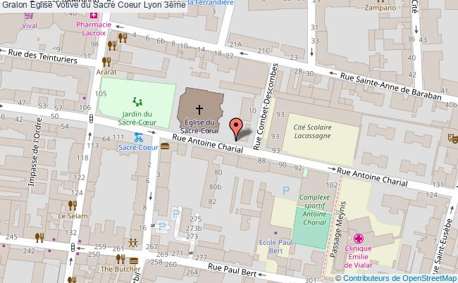 Eglise Votive Du Sacré Coeur  Lyon