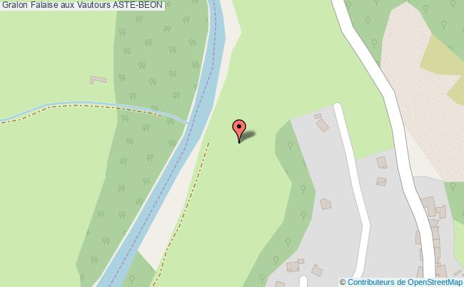 Falaise Aux Vautours  Aste-béon