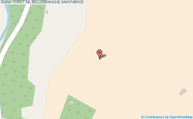 Foret De Bellebranche  Saint-brice