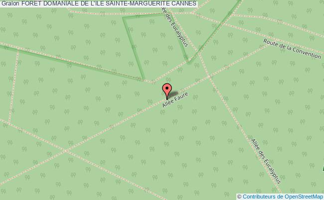 Foret Domaniale De L'ile Sainte-marguerite  Cannes