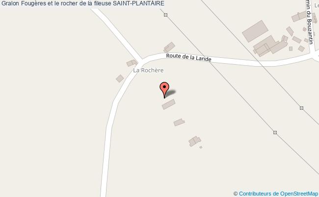 Fougères Et Le Rocher De La Fileuse  Saint-plantaire