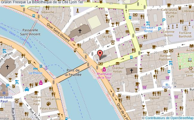 Fresque La Bibliothèque De La Cité  Lyon