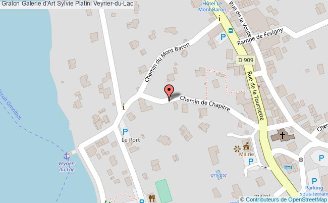 Galerie D'art Sylvie Platini  Veyrier-du-lac