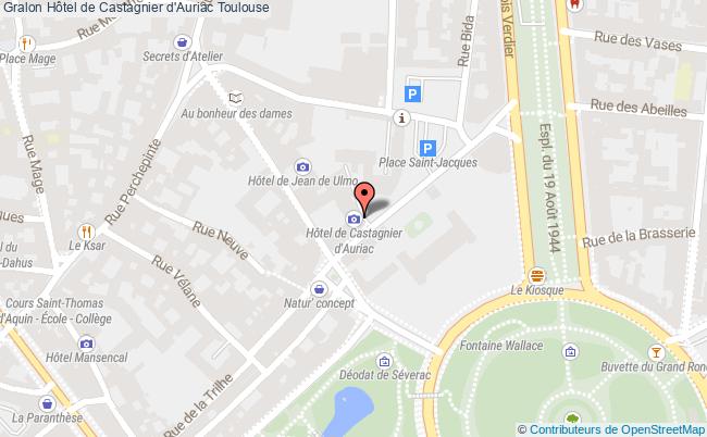 Hôtel De Castagnier D'auriac  Toulouse