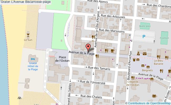 L'avenue  Biscarrosse-plage