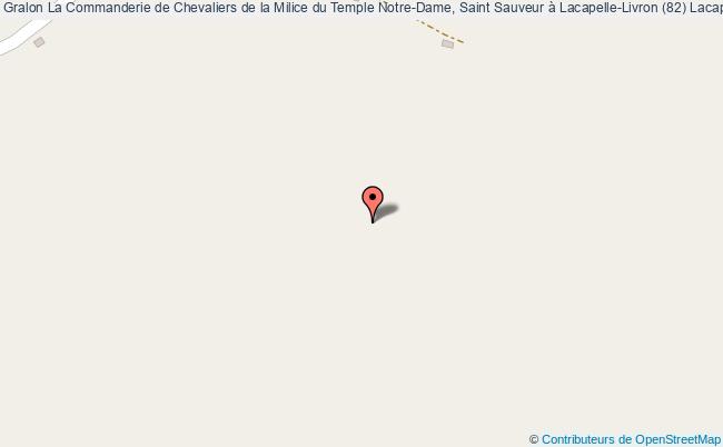 La Commanderie De Chevaliers De La Milice Du Temple Notre-dame, Saint Sauveur à Lacapelle-livron (82) 