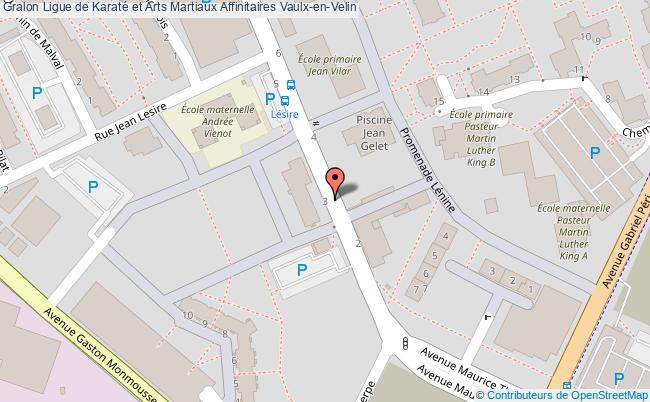 Ligue De Karaté Et Arts Martiaux Affinitaires  Vaulx-en-velin