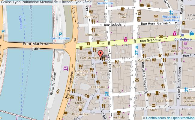 Lyon Patrimoine Mondial De L'unesco 