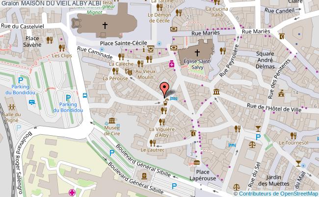 Maison Du Vieil Alby  Albi