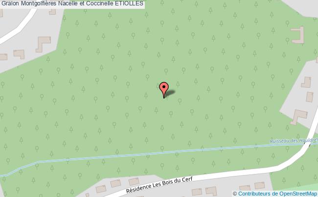 Montgolfières Nacelle Et Coccinelle  Etiolles