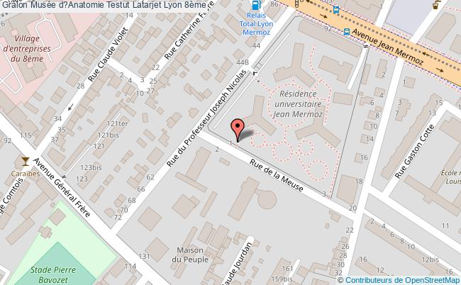 Musée D?anatomie Testut Latarjet  Lyon