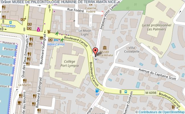 Musee De Paleontologie Humaine De Terra Amata  Nice