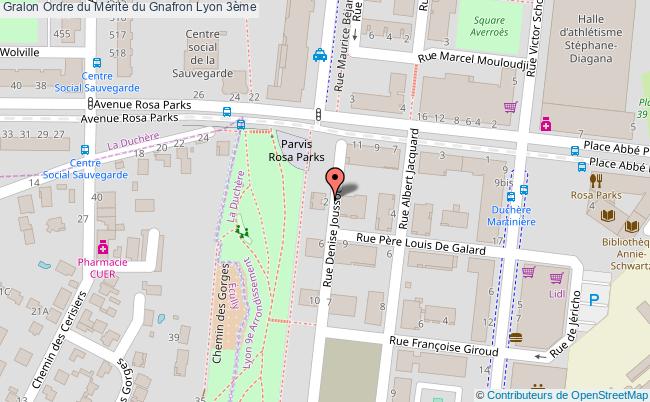 Ordre Du Mérite Du Gnafron  Lyon