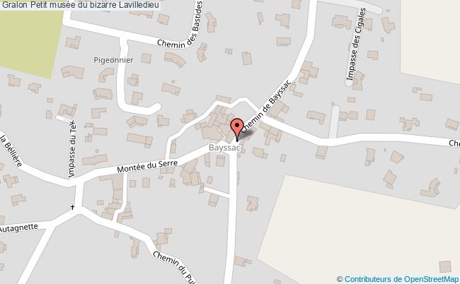 Petit Musée Du Bizarre  Lavilledieu