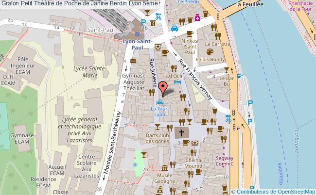 Petit Théâtre De Poche De Janine Berdin  Lyon