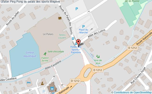 Ping Pong Du Palais Des Sports  Megève