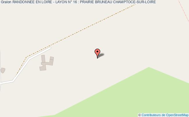 Randonnee En Loire - Layon N° 16 : Prairie Bruneau  Champtocé-sur-loire