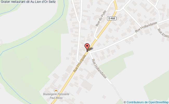 Restaurant Dit Au Lion D'or  Seltz