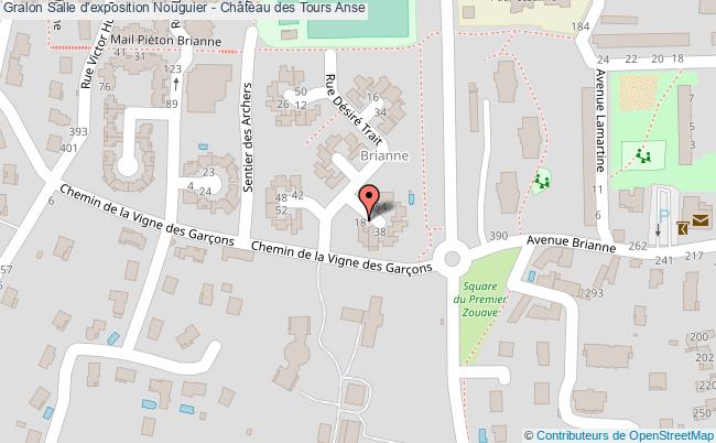 Salle D'exposition Nouguier - Château Des Tours  Anse