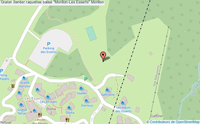 Sentier Raquettes Balisé "morillon-les Esserts" 