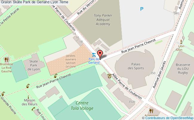 Skate Park De Gerland  Lyon