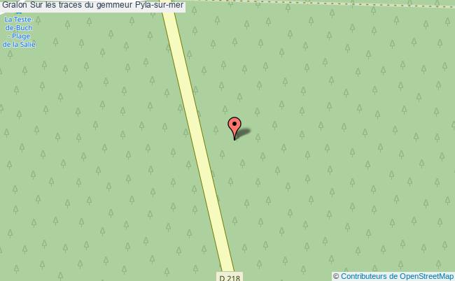 Sur Les Traces Du Gemmeur  Pyla-sur-mer