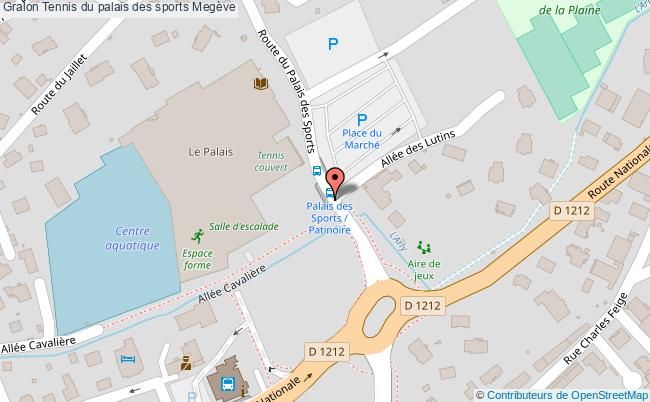 Tennis Du Palais Des Sports  Megève