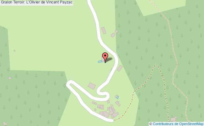 Terroir: L'olivier De Vincent  Payzac