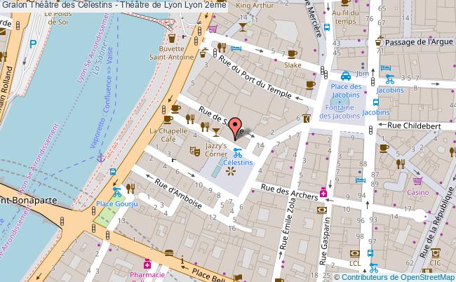 Théâtre Des Célestins - Théâtre De Lyon 