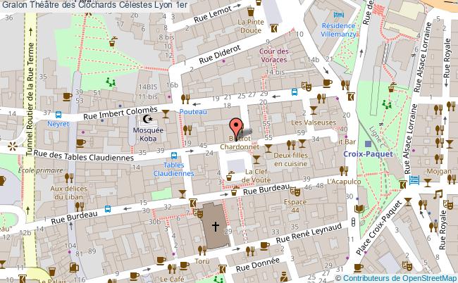 Théâtre Des Clochards Célestes  Lyon