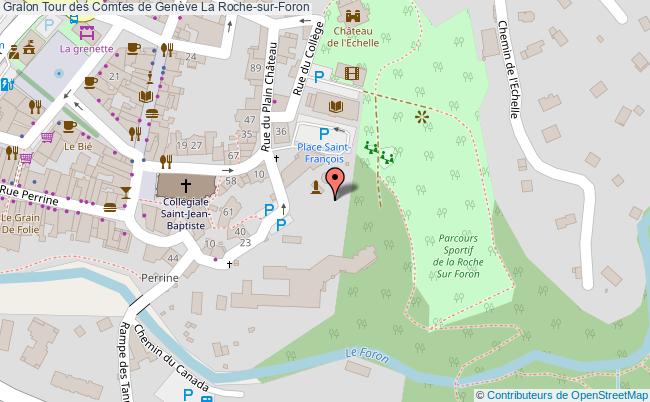 Tour Des Comtes De Genève  La Roche-sur-foron