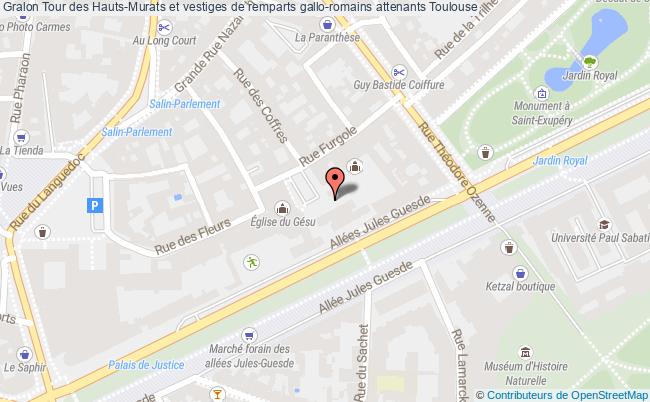 Tour Des Hauts-murats Et Vestiges De Remparts Gallo-romains Attenants  Toulouse