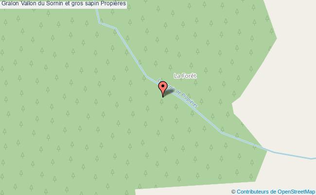 Vallon Du Sornin Et Gros Sapin  Propières