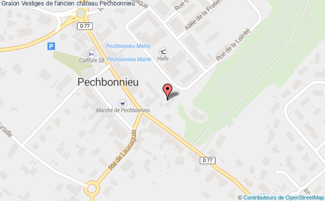 Vestiges De L'ancien Château  Pechbonnieu