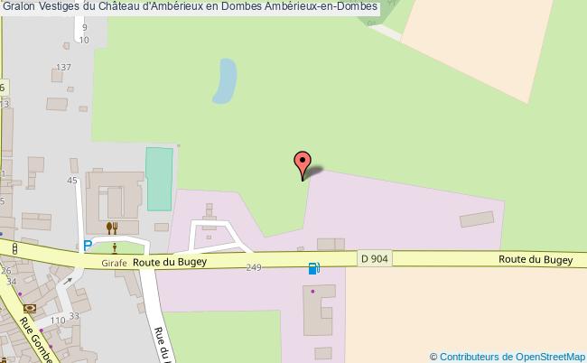 Vestiges Du Château D'ambérieux En Dombes  Ambérieux-en-dombes