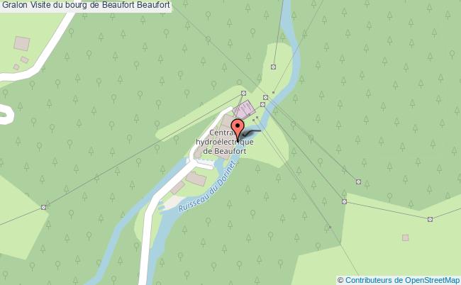 Visite Du Bourg De Beaufort 