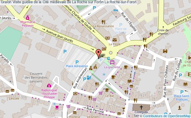 Visite Guidée De La Cité Médiévale De La Roche Sur Foron  La Roche-sur-foron