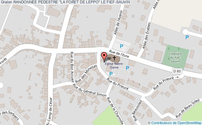 RANDONNÉE PÉDESTRE "LA FORET DE LEPPO"