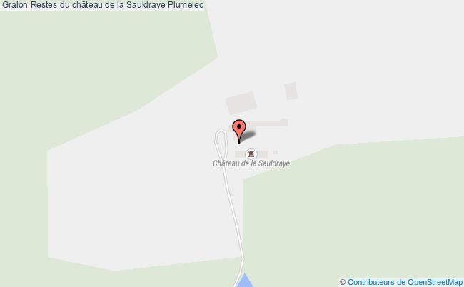 plan Restes Du Château De La Sauldraye Plumelec Plumelec