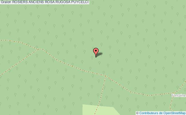 ROSIERS ANCIENS ROSA RUGOSA