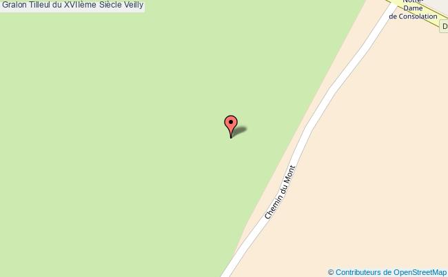 plan Tilleul Du Xviième Siècle Veilly Veilly