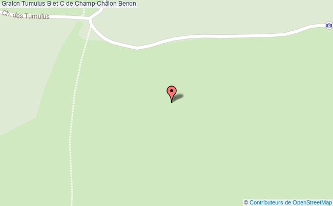 Tumulus B et C de Champ-Châlon