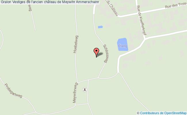 Vestiges de l'ancien château de Meywihr