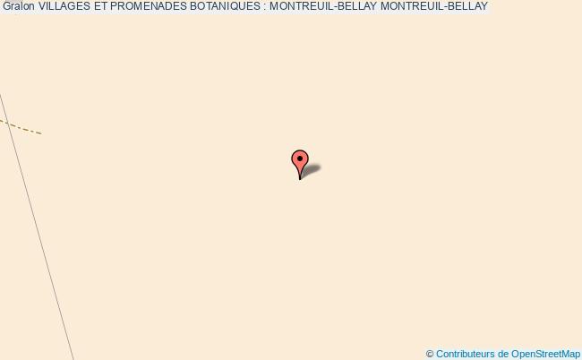 VILLAGES ET PROMENADES BOTANIQUES : MONTREUIL-BELLAY