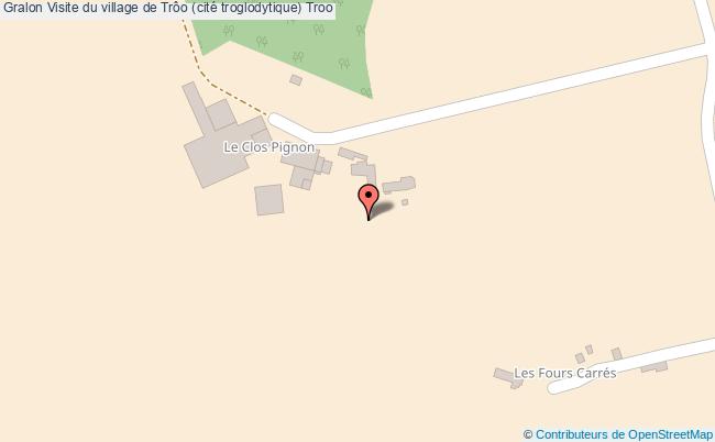 Visite du village de Trôo (cité troglodytique)