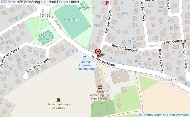 Mus&eacute;e Arch&eacute;ologique Henri Prades