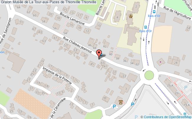 Mus&eacute;e de La Tour-aux-Puces de Thionville